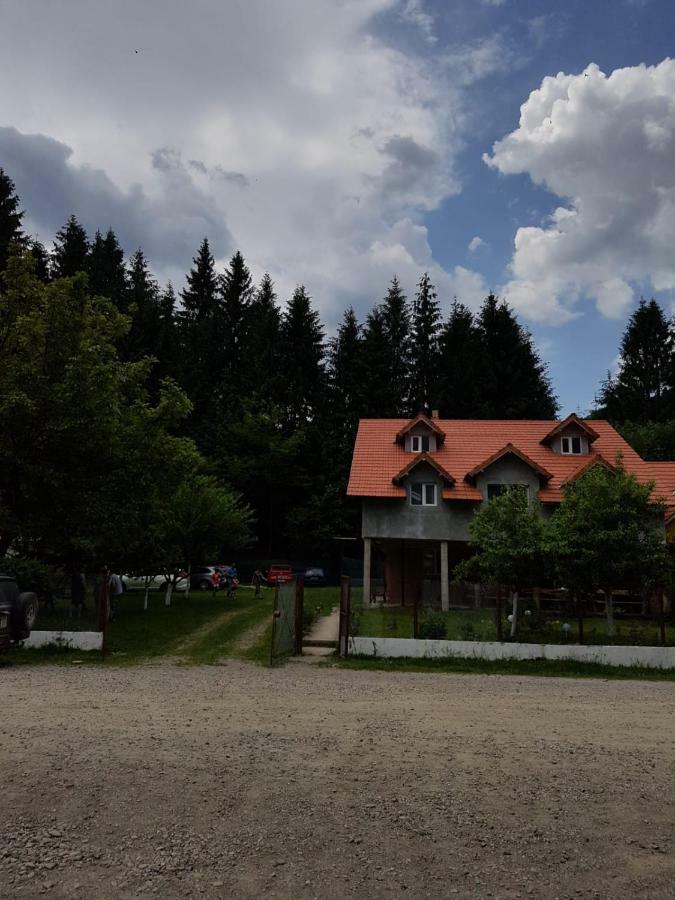 Hotel Cabana Merisor à Poiana Mărului Extérieur photo
