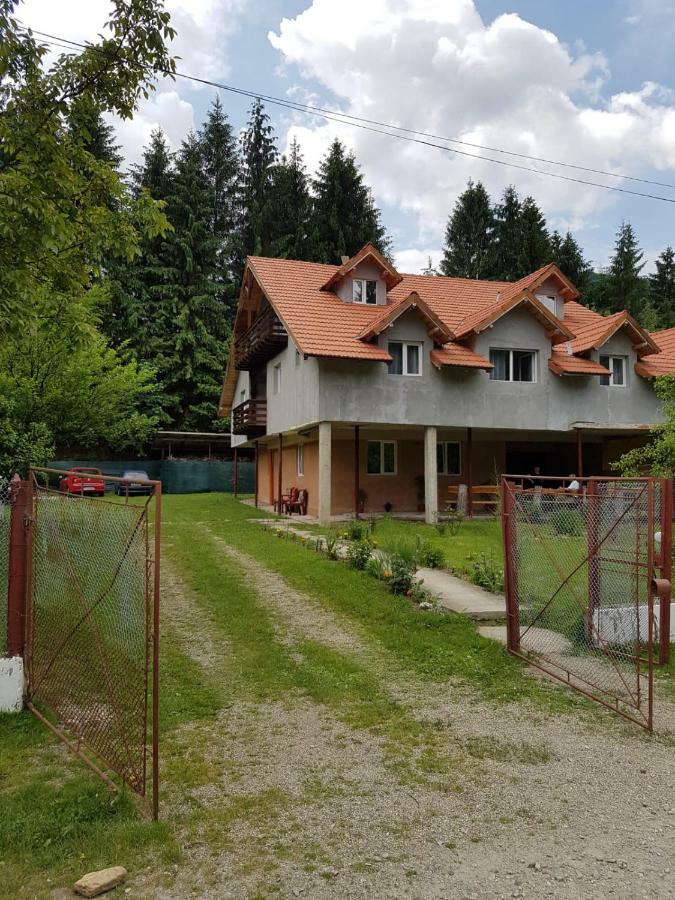 Hotel Cabana Merisor à Poiana Mărului Extérieur photo
